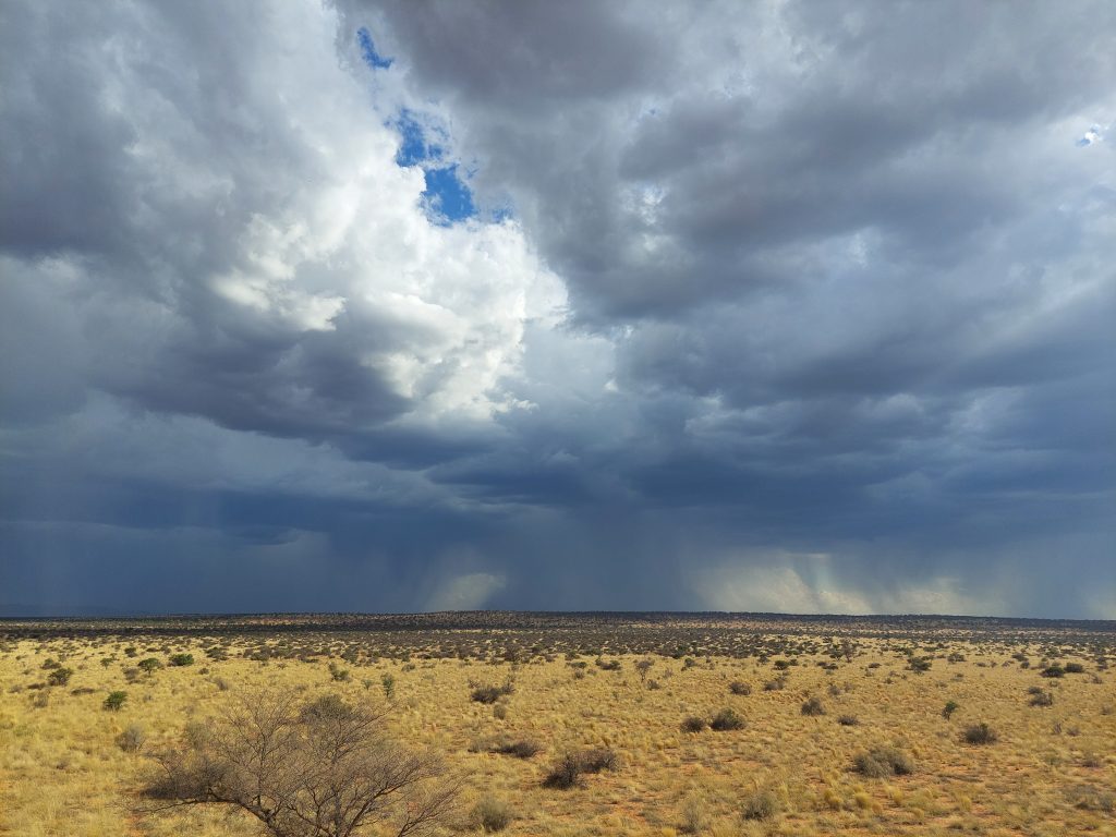 Rainstorm on safari with Wandering Thru