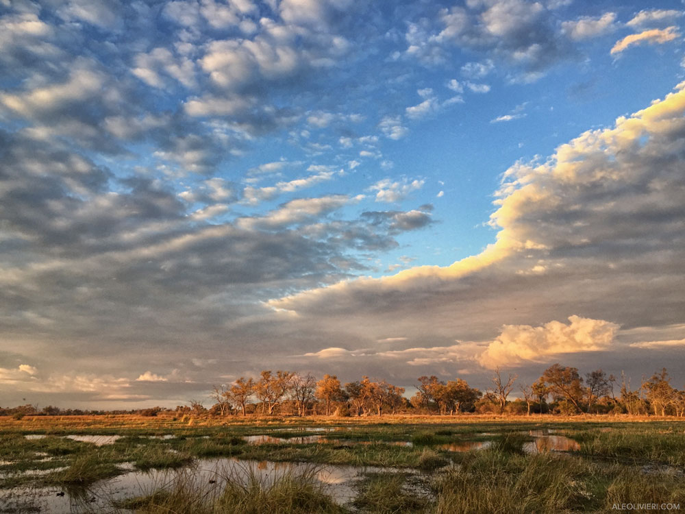 Okavango Delta at sunrise on safari with Wandering Thru.