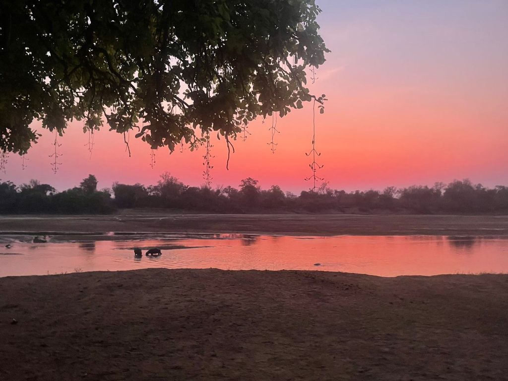 Sunset on the river whilst on safari with Wandering Thru.