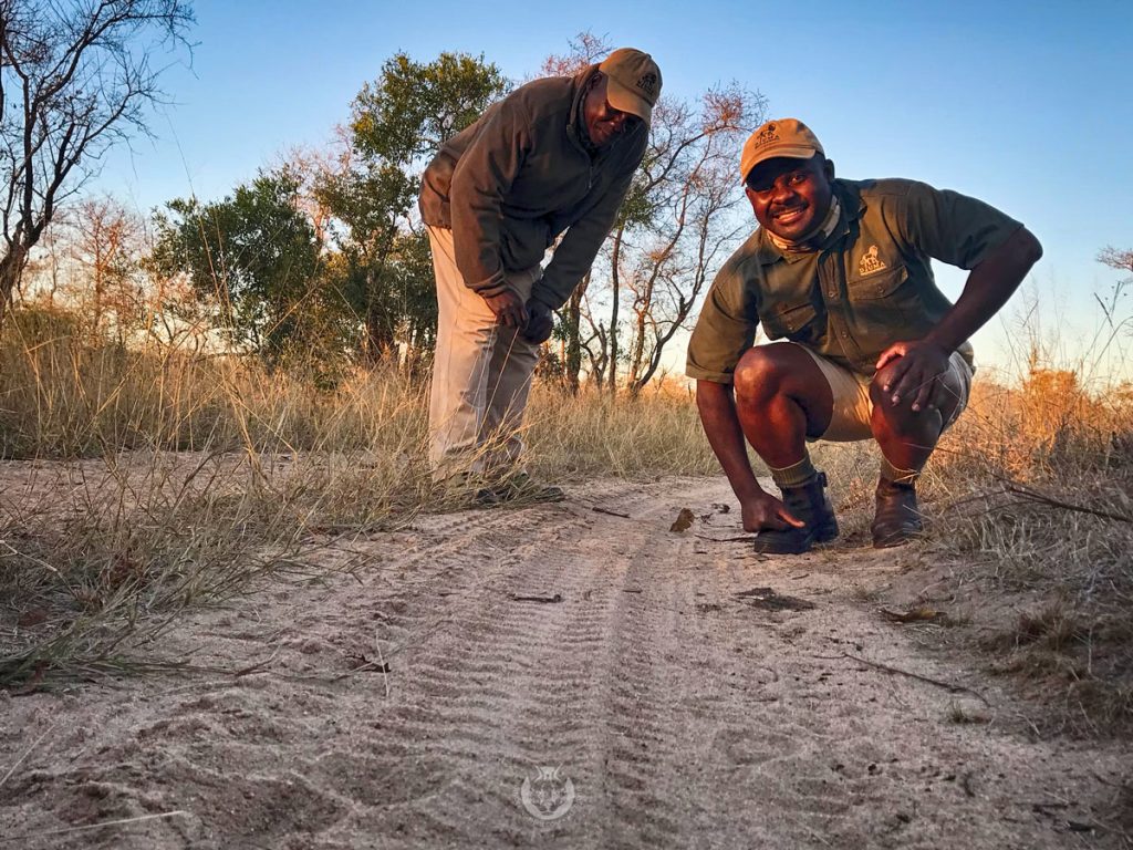 A guide and tracker team on safari with Wandering Thru.