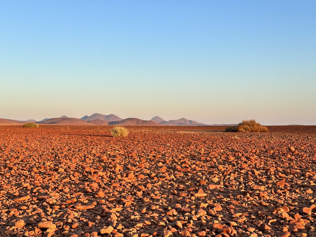 Landscape on safari with Wandering Thru in Namibia.
